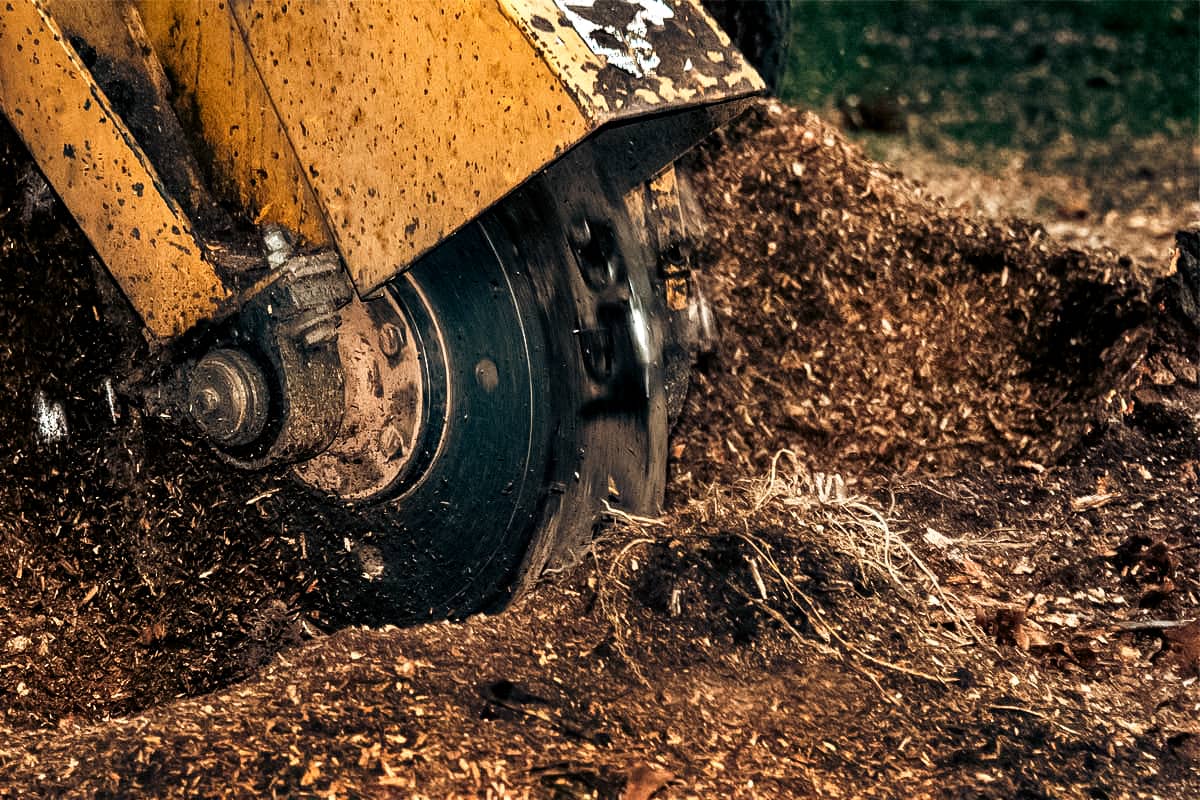 Stump Grinding
